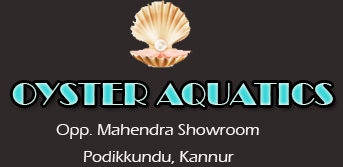 OYSTER AQUATICS - PODIKKUNDU
